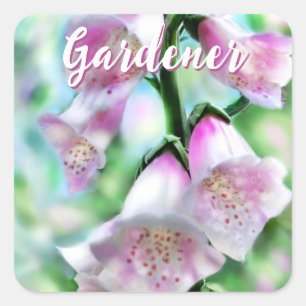 Vingerhoedskruid Bloemen Bloem Roze Tuin Persoonli Vierkante Sticker