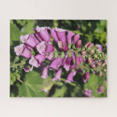 Vingerhoedskruid Legpuzzel (Horizontaal)