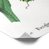 Vingerhoedskruid Poster (Hoek)