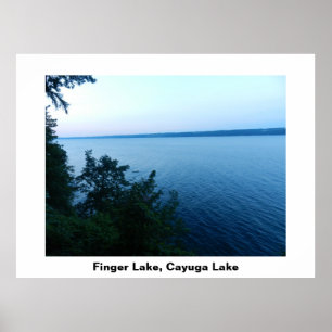 VINGERLAKE CAYUGA LAKE poster