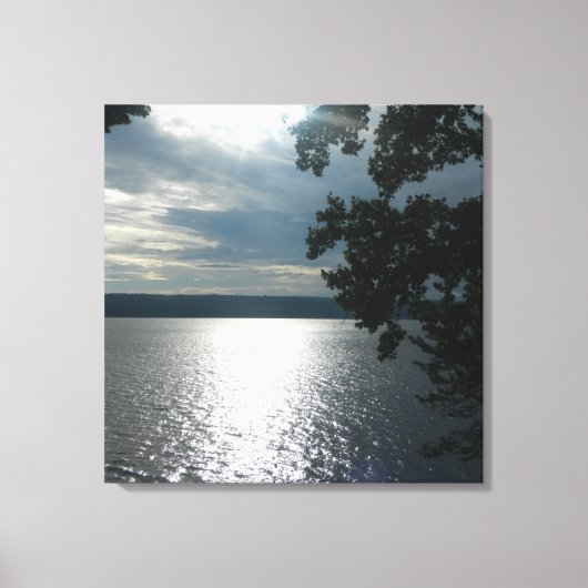 VINGERMEREN, CAYUGA LAKE canvas (Voorkant)