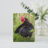 Vingerrooster Briefkaart (Staand voorkant)