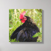 Vingerrooster Canvas Afdruk (Voorkant)