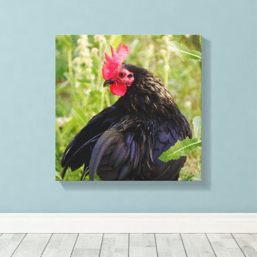 Vingerrooster Canvas Afdruk (Insitu (Houten vloer))