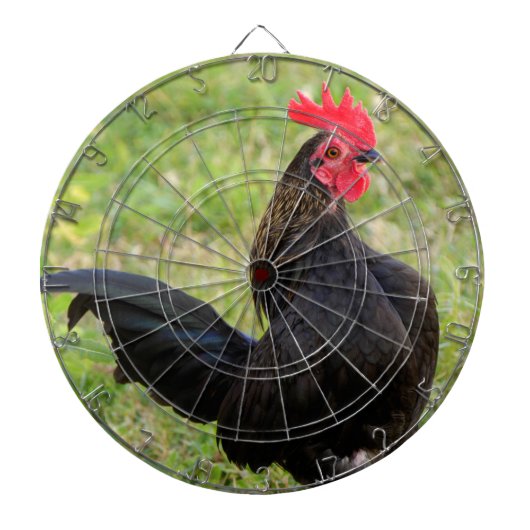 Vingerrooster Dartbord (Voorkant)