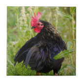 Vingerrooster Tegeltje (Voorkant)