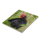 Vingerrooster Tegeltje (Zijkant)