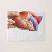 Vingers tonen model menselijk hart op wit.jpg legpuzzel (Horizontaal)