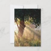 Vingers van God Tree Sympathisatiekaarten Kaart (Achterkant)