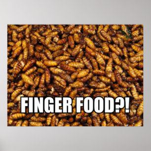 VINGERVOEDSEL?! MEME POSTER