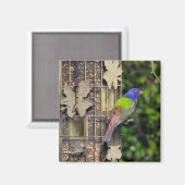 vink-1-feb5-06 magneet (Voorkant / Achterkant)