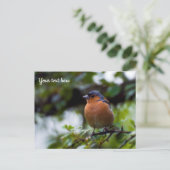 Vink ansichtkaart briefkaart (Staand voorkant)
