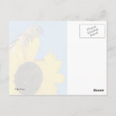 Vink en ventilator briefkaart (Achterkant)