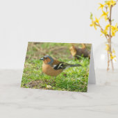 Vink - het Wenskaart van de Vink Om het even welke Kaart (Gele Bloem)