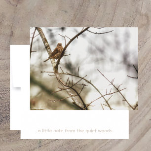 Vink in wintertakken Natuurfotografie Notitiekaartje