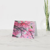 Vink onder de Kaart van de Nota van de Bloesems (Voorkant)