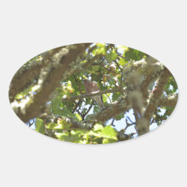 Vink Ovale Sticker