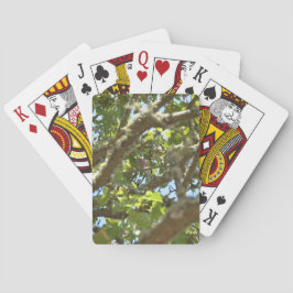 Vink Pokerkaarten