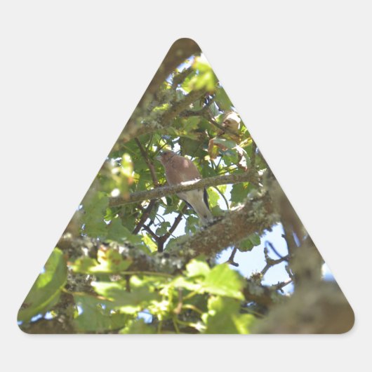 Vink Sticker (Voorkant)