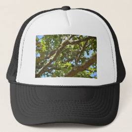 Vink Trucker Pet