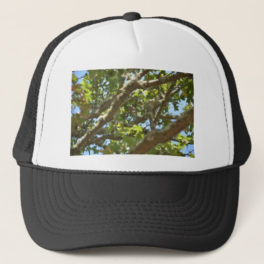 Vink Trucker Pet (Voorkant)