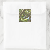 Vink Vierkante Sticker (Tas)