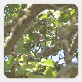 Vink Vierkante Sticker