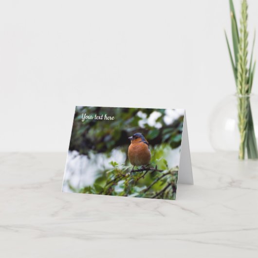 Vink vogel Wenskaart Bedankkaart (Voorkant)