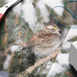 Vink zittend op dennentak tissuepapier