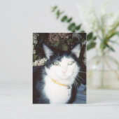 Vinnie Briefkaart (Staand voorkant)