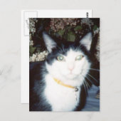 Vinnie Briefkaart (Voorkant / Achterkant)