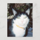 Vinnie Briefkaart (Voorkant)