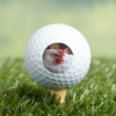Vinny Golfballen (Insitu Shirt)