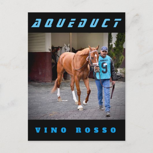 Vino Rosso - Paddock Briefkaart (Voorkant)