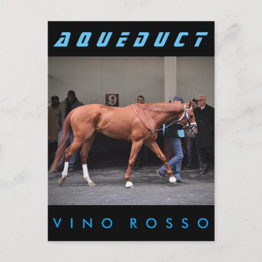 Vino Rosso - Todd Pletcher Briefkaart (Voorkant)