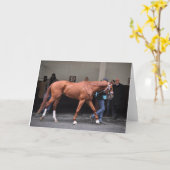 Vino Rosso - Todd Pletcher Kaart (Gele Bloem)