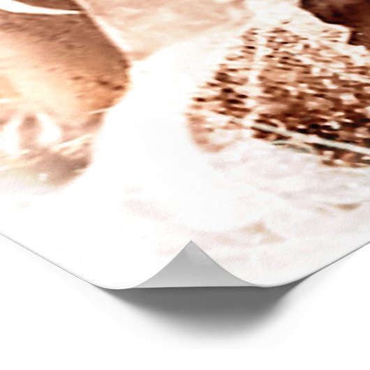 Vintage14 Poster (Hoek)