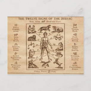 Vintage 12 Tekenen van de Zodiac Briefkaart