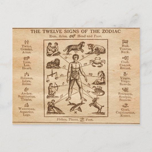 Vintage 12 Tekenen van de Zodiac Briefkaart (Voorkant)