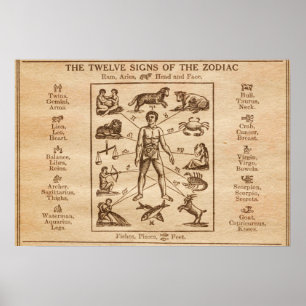 Vintage 12 Tekenen van de Zodiac Poster
