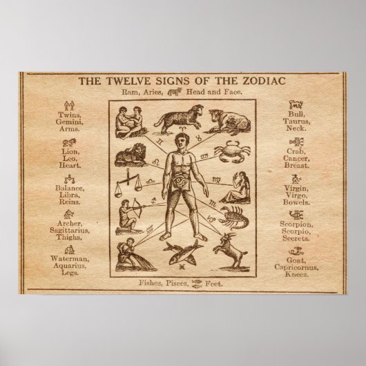 Vintage 12 Tekenen van de Zodiac Poster (Voorkant)