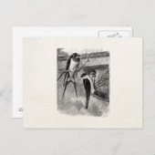 Vintage 1800 Barn Swallow Martin Bird Swallows Briefkaart (Voorkant / Achterkant)