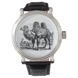 Vintage 1800 Camel - Egyptische Sjabloon van kamel Horloge