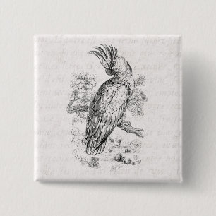 Vintage 1800: Cockato Parrot Bird Cockatiel Birds Vierkante Button 5,1 Cm