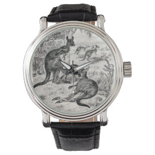 Vintage 1800: Giant Kangaroos Australian Kangaroo Horloge