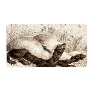 Vintage 1800 honingbadger met Sjabloon-retro voor  Etiket