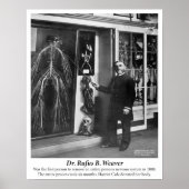 Vintage 1800: Humaan zenuwstelsel Poster (Voorkant)