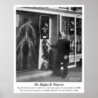 Vintage 1800: Humaan zenuwstelsel