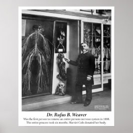 Vintage 1800: Humaan zenuwstelsel Poster