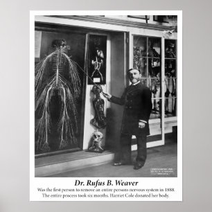 Vintage 1800: Humaan zenuwstelsel Poster